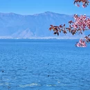 大理州旅游 缩略图 3