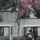 大理州旅游 缩略图 9