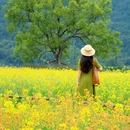 桂林旅游 缩略图 1