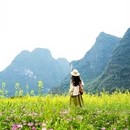 桂林旅游 缩略图 7