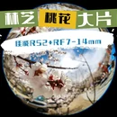 林芝旅游 缩略图 1