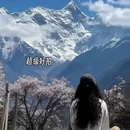 林芝旅游 缩略图 7
