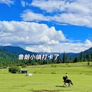 林芝旅游 缩略图 12