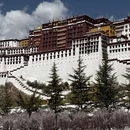 林芝旅游 缩略图 7