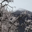 林芝旅游 缩略图 18