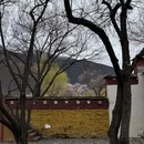 林芝旅游 缩略图 13