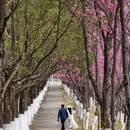 大理州旅游 缩略图 2