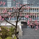 大理州旅游 缩略图 10