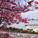 大理州旅游 缩略图 6