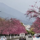 大理州旅游 缩略图 9