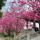 大理州旅游 缩略图 1