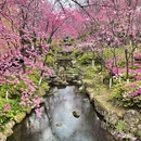 大理州旅游 缩略图 6