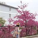 大理州旅游 缩略图 5
