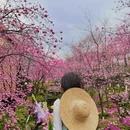 大理州旅游 缩略图 7