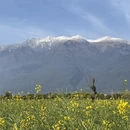 大理州旅游 缩略图 4