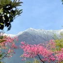 大理州旅游 缩略图 1