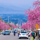 大理州旅游 缩略图 16
