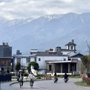 大理州旅游 缩略图 8