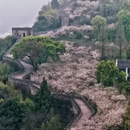 台州旅游 缩略图 1