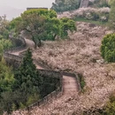 台州旅游 缩略图 2