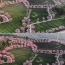 温州旅游 缩略图 2