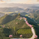 杭州旅游 缩略图 2