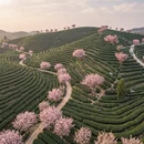 杭州旅游 缩略图 3