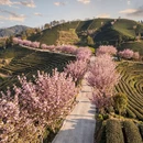 杭州旅游 缩略图 4