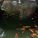 桂林旅游 缩略图 13