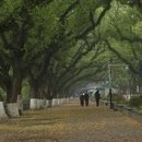 桂林旅游 缩略图 6