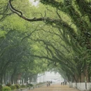 桂林旅游 缩略图 2