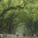 桂林旅游 缩略图 9