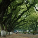 桂林旅游 缩略图 4