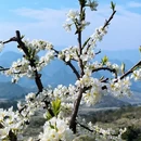 贺州旅游 缩略图 3