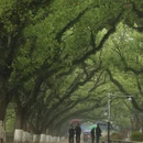 桂林旅游 缩略图 7