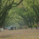 桂林旅游 缩略图 11