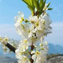 贺州旅游 缩略图 5