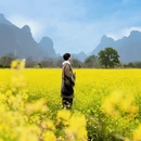 桂林旅游 缩略图 2