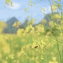 桂林旅游 缩略图 7