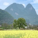 桂林旅游 缩略图 6