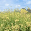 桂林旅游 缩略图 9