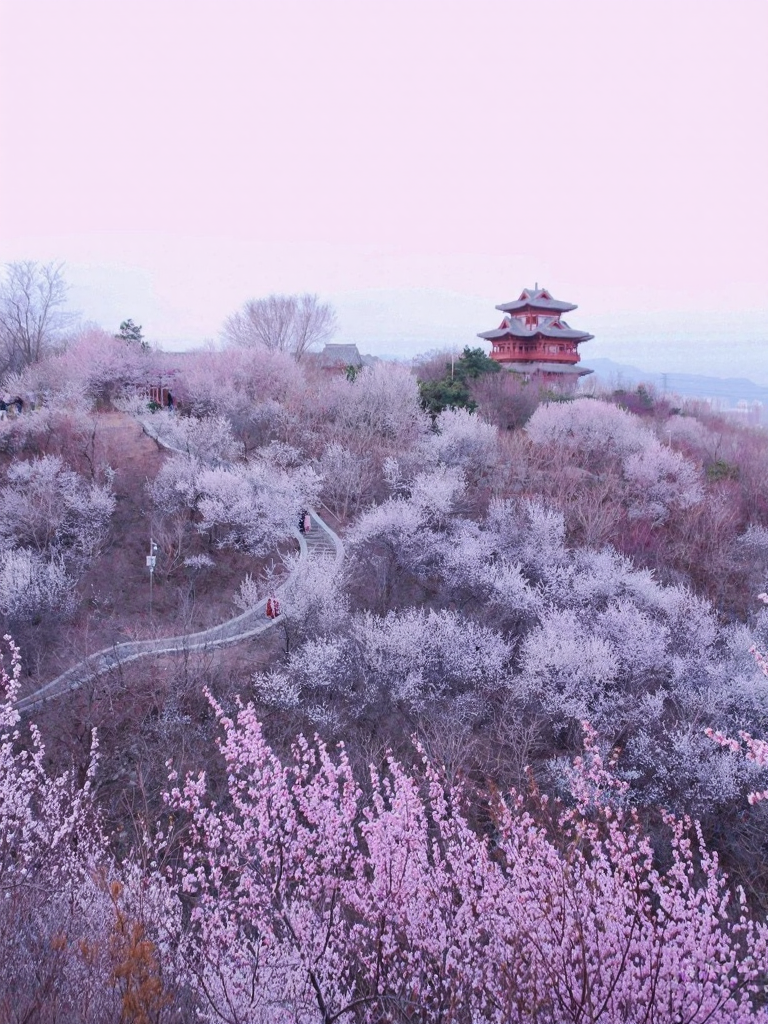 北京旅游