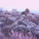 北京旅游 缩略图 1