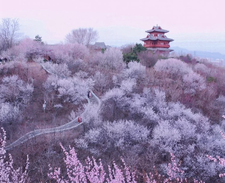北京旅游 1