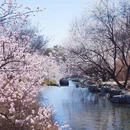 北京旅游 缩略图 4