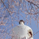 北京旅游 缩略图 6