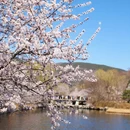 北京旅游 缩略图 10