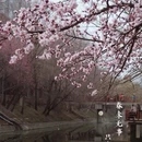 北京旅游 缩略图 8