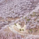 北京旅游 缩略图 2