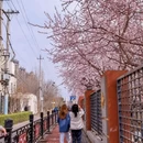 北京旅游 缩略图 11